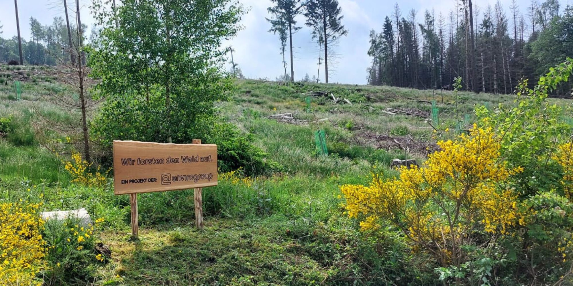 envirogroup sign in the forest with the inscription &quot;we are reforesting, a project of the envirogroup&quot;.