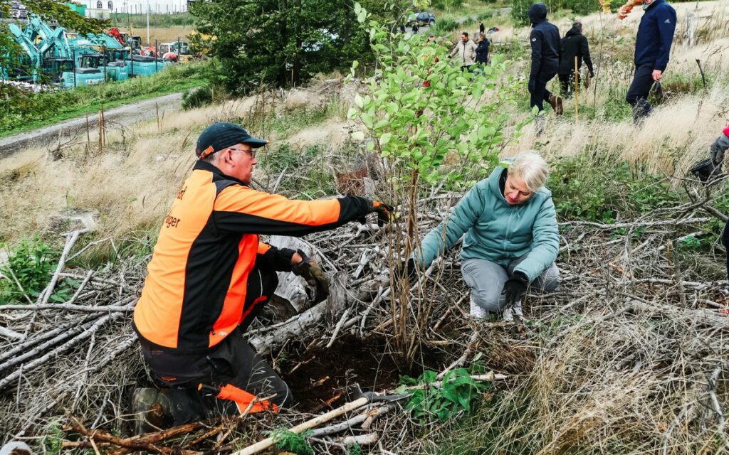Planting of new tree seedlings on the Kalteiche in Haiger