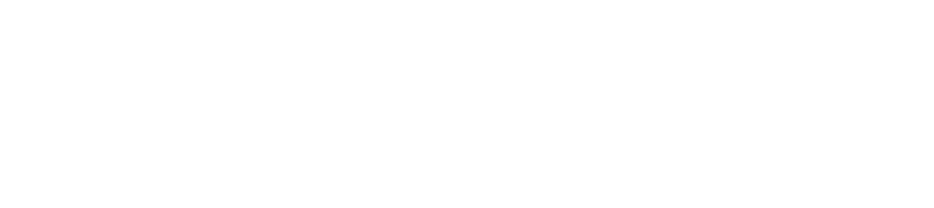 Co-funded by the EU